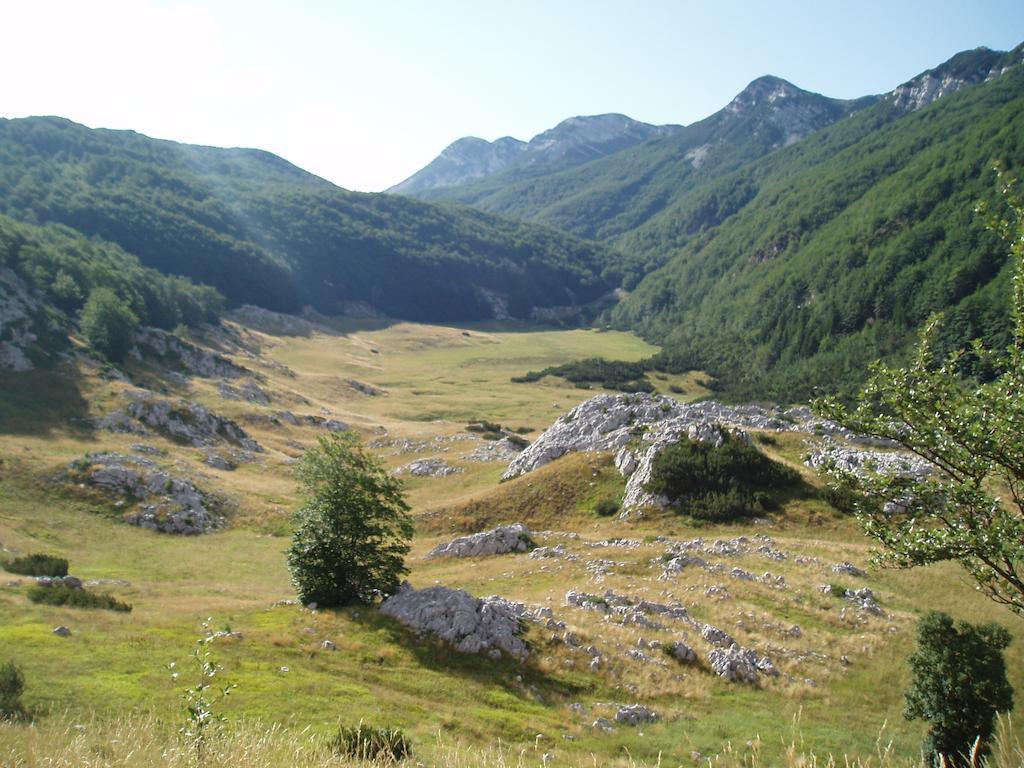 Apartments Amari Starigrad Paklenica Εξωτερικό φωτογραφία