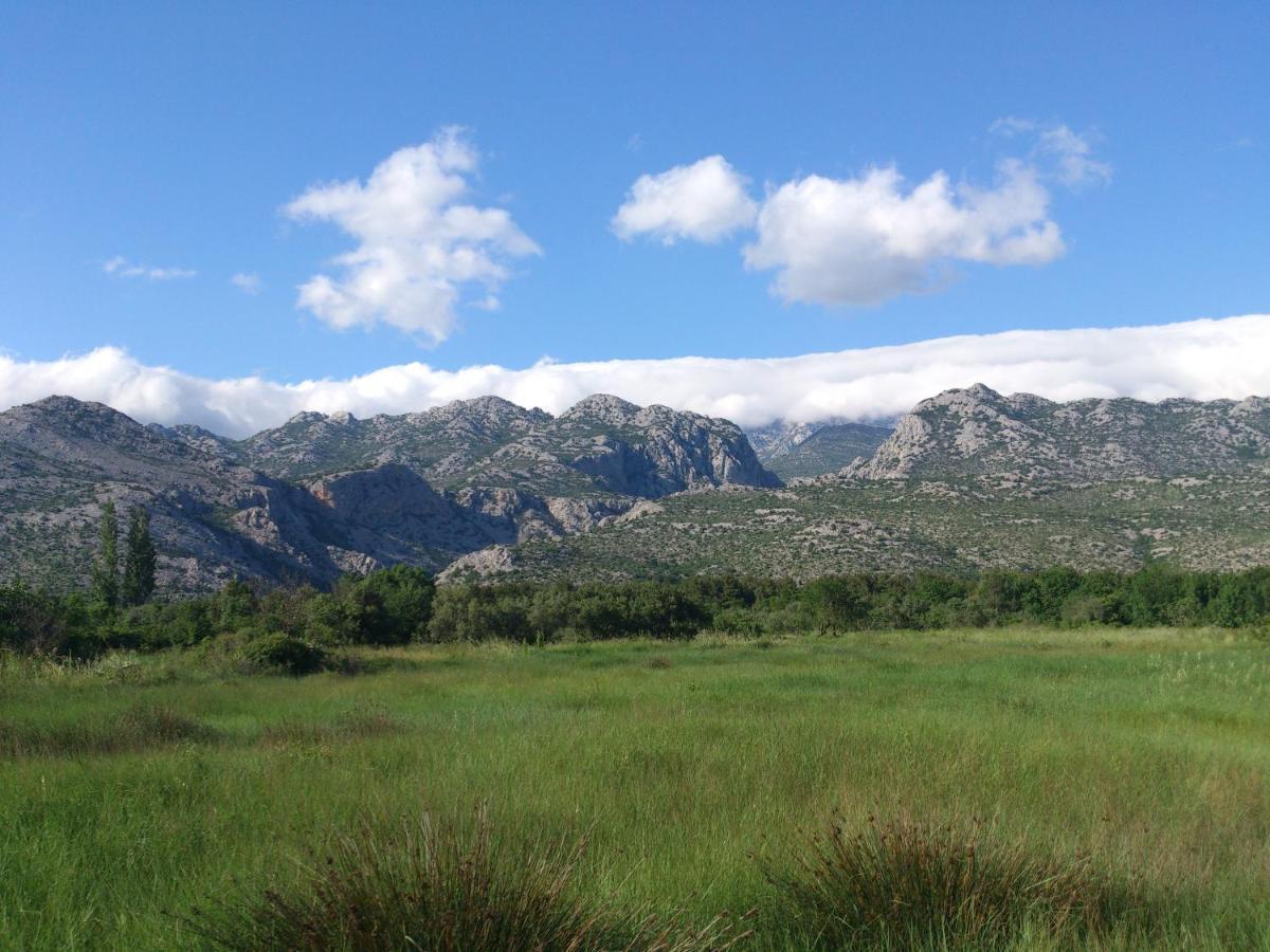 Apartments Amari Starigrad Paklenica Εξωτερικό φωτογραφία